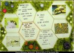 Konkurs Pszczoła w przyrodzie i wartość pracy pszczoły